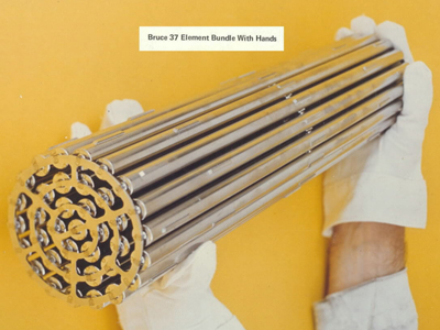 Paliwo reaktora CANDU (zestaw paliwowy w postaci wiązki prętów paliwowych)